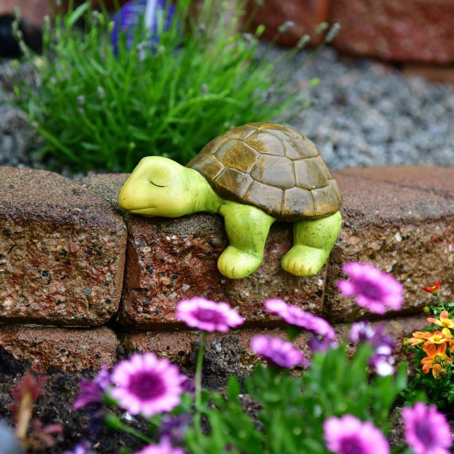 Annis Wohnschloesschen Lägenhet Mainhausen Exteriör bild